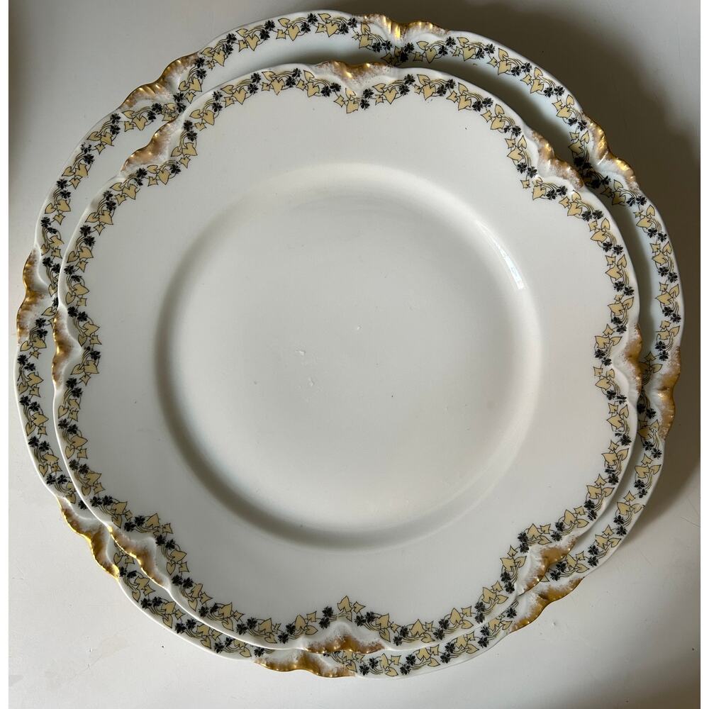 Limoges by Frank Haviland-8 plates/10 lunch/4 soup-Gold yellow ivy